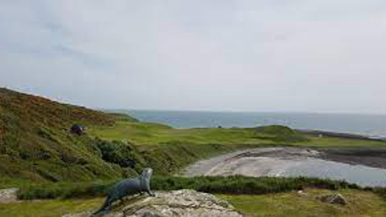 Photo of Others in Monreith