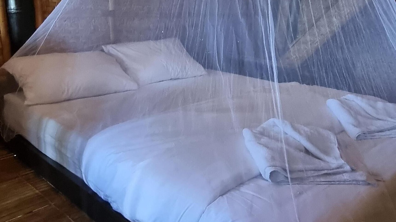 Photo of Bedroom in Selong Belanak