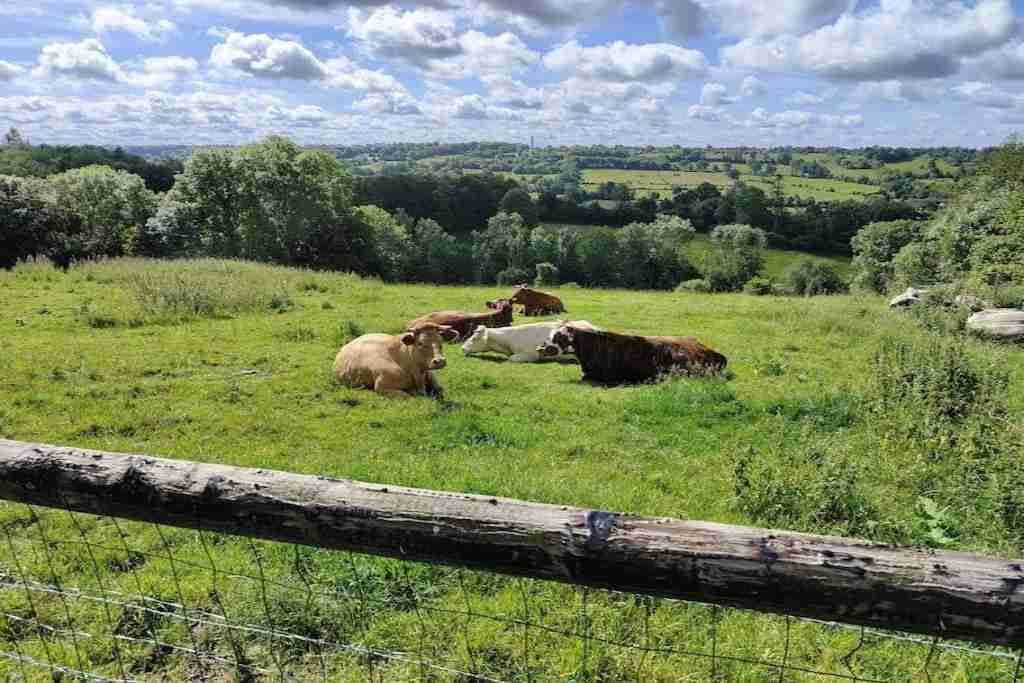 Photo of Outdoor in Le Bois-Hellain