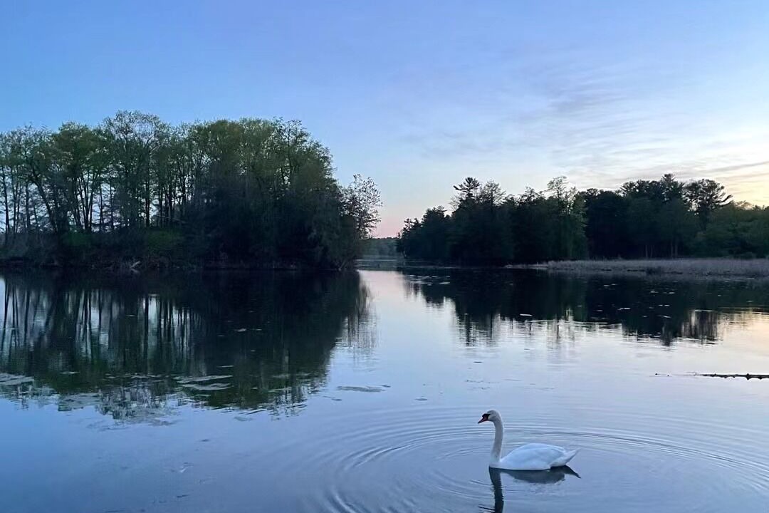 Photo of Outdoor in Rideau Lakes