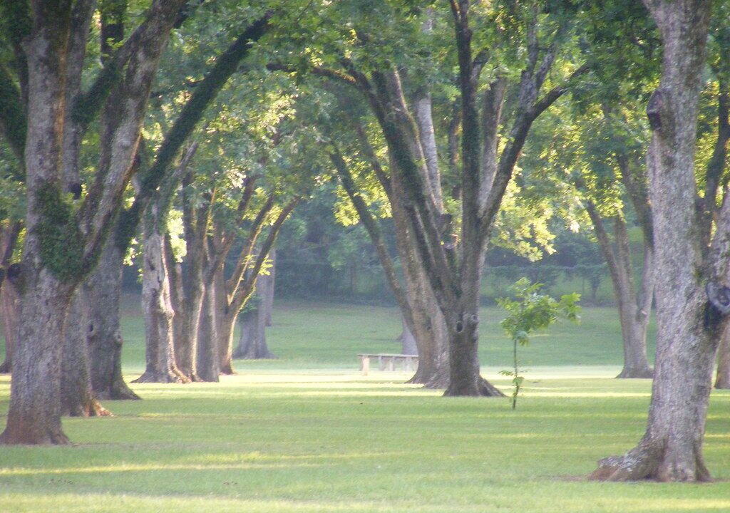 Photo of Others in Nacogdoches
