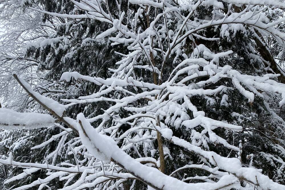Photo of Others in Minden Hills