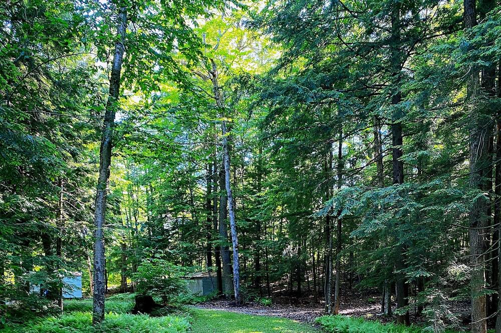 Photo of Outdoor in Minden Hills