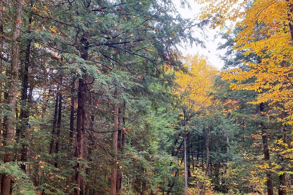Photo of Outdoor in Minden Hills