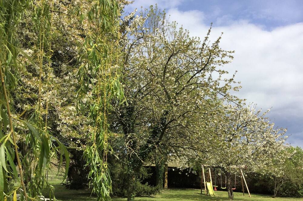 Photo of Outdoor in Villebernier