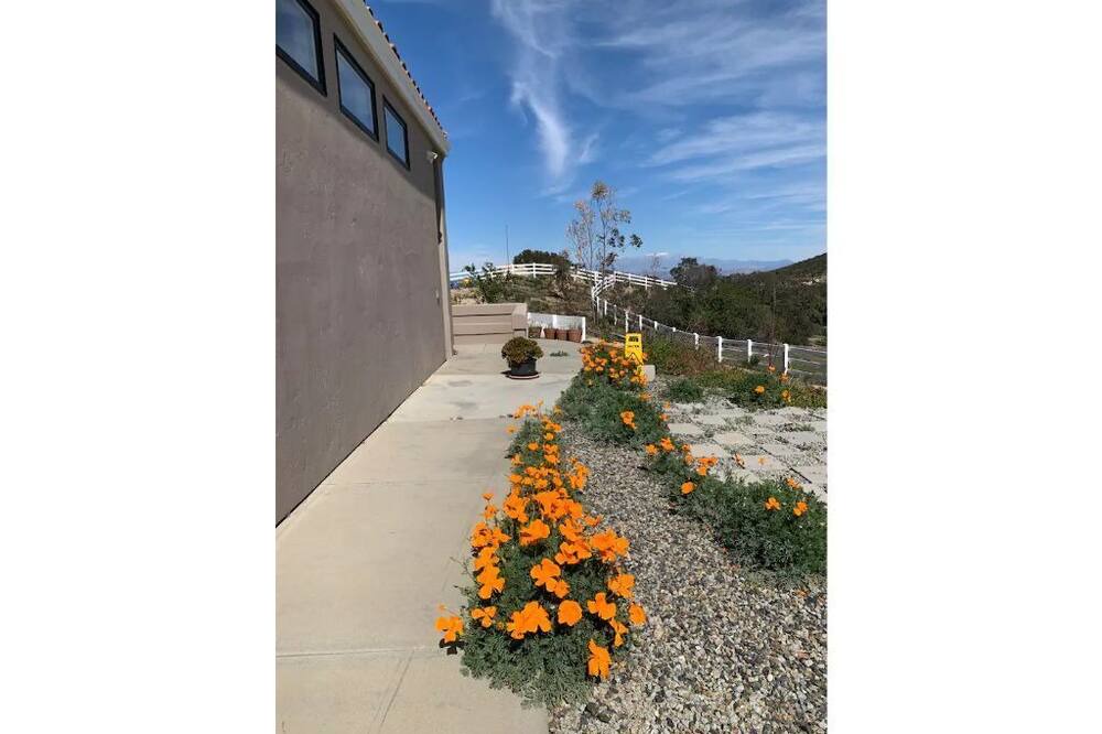 Photo of Outdoor in Murrieta