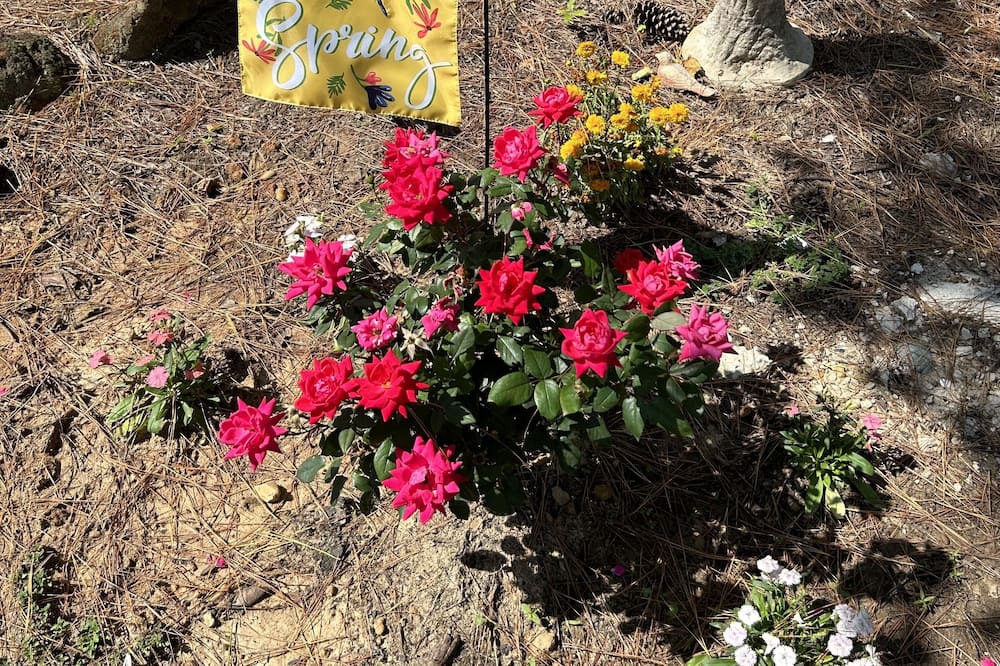 Photo of Outdoor in Morris Chapel