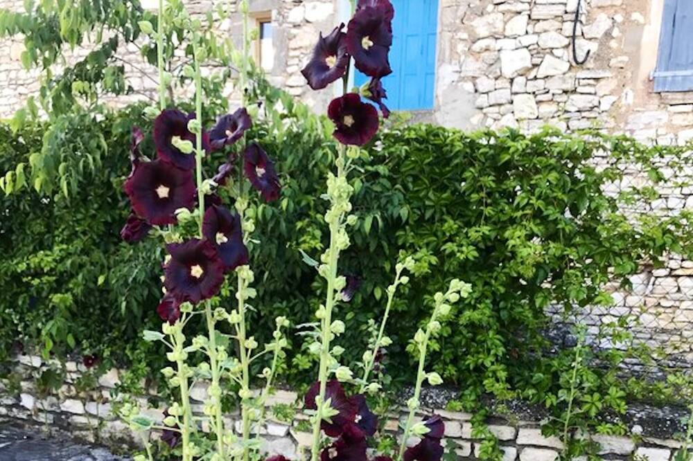 Photo of Outdoor in Orgnac-l'Aven