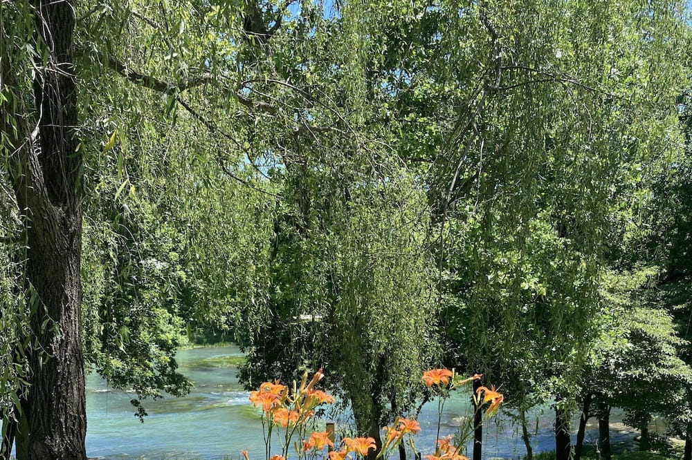 Photo of Others in Mammoth Spring