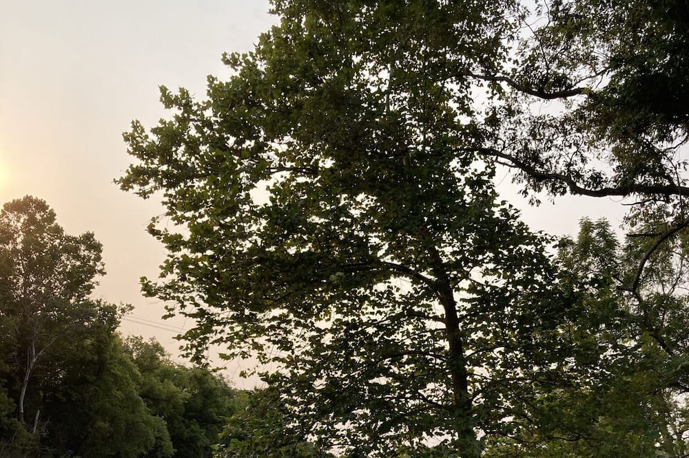 Photo of Others in Mammoth Spring