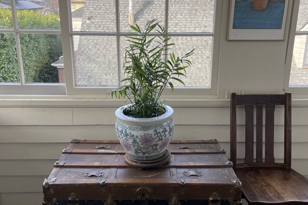 Photo of Others in Irvington