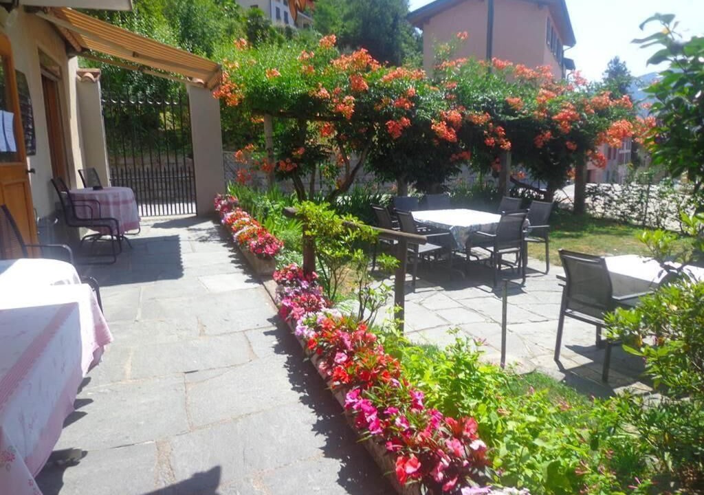 Photo of Outdoor in Purasca