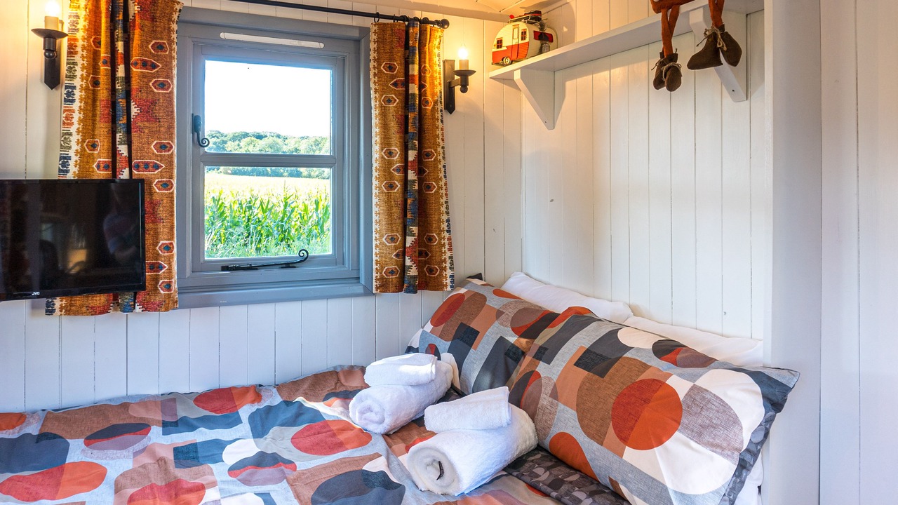 Photo of Others in Whitestone