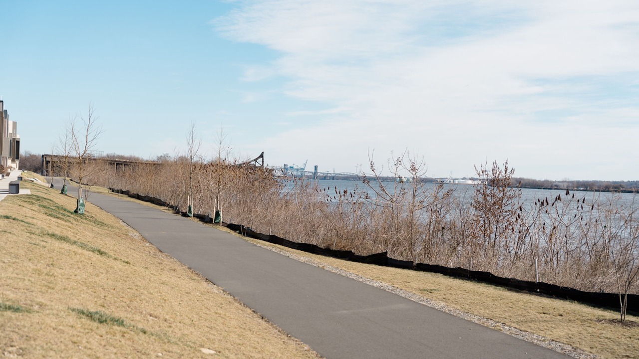 Photo of Others in Olde Richmond