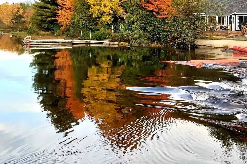 Photo of Outdoor in Magnetawan