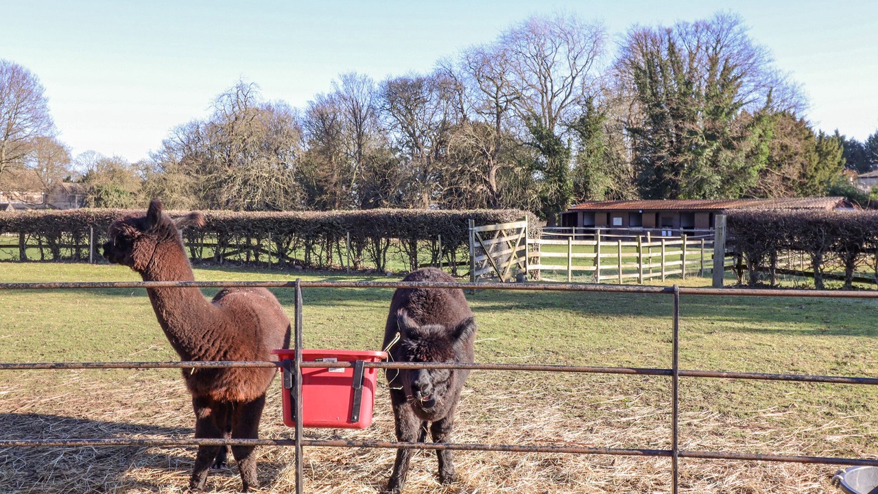 Photo of Outdoor in Loversall