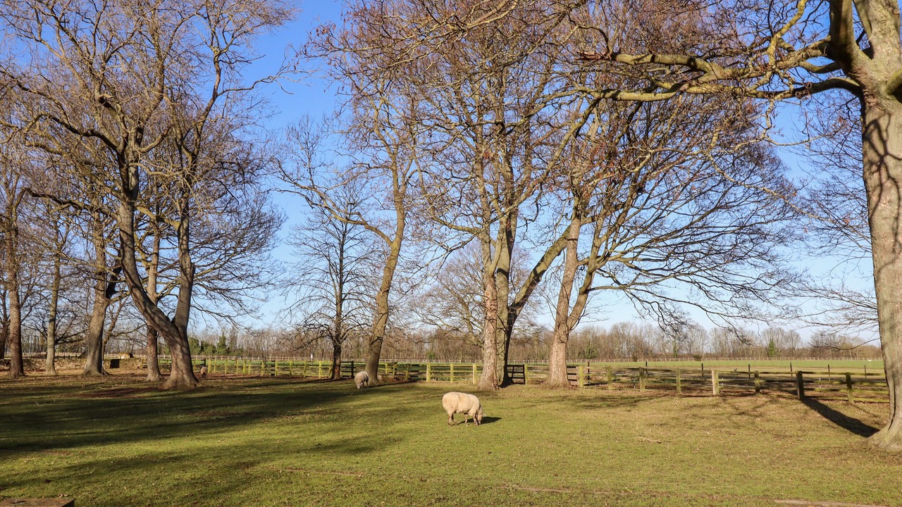 Photo of Outdoor in Loversall