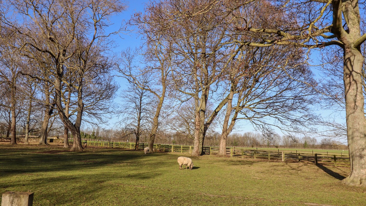 Photo of Others in Loversall