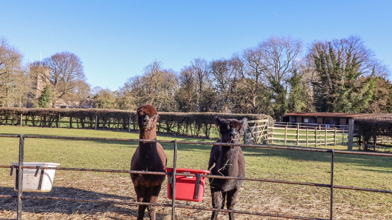 Photo of Others in Loversall