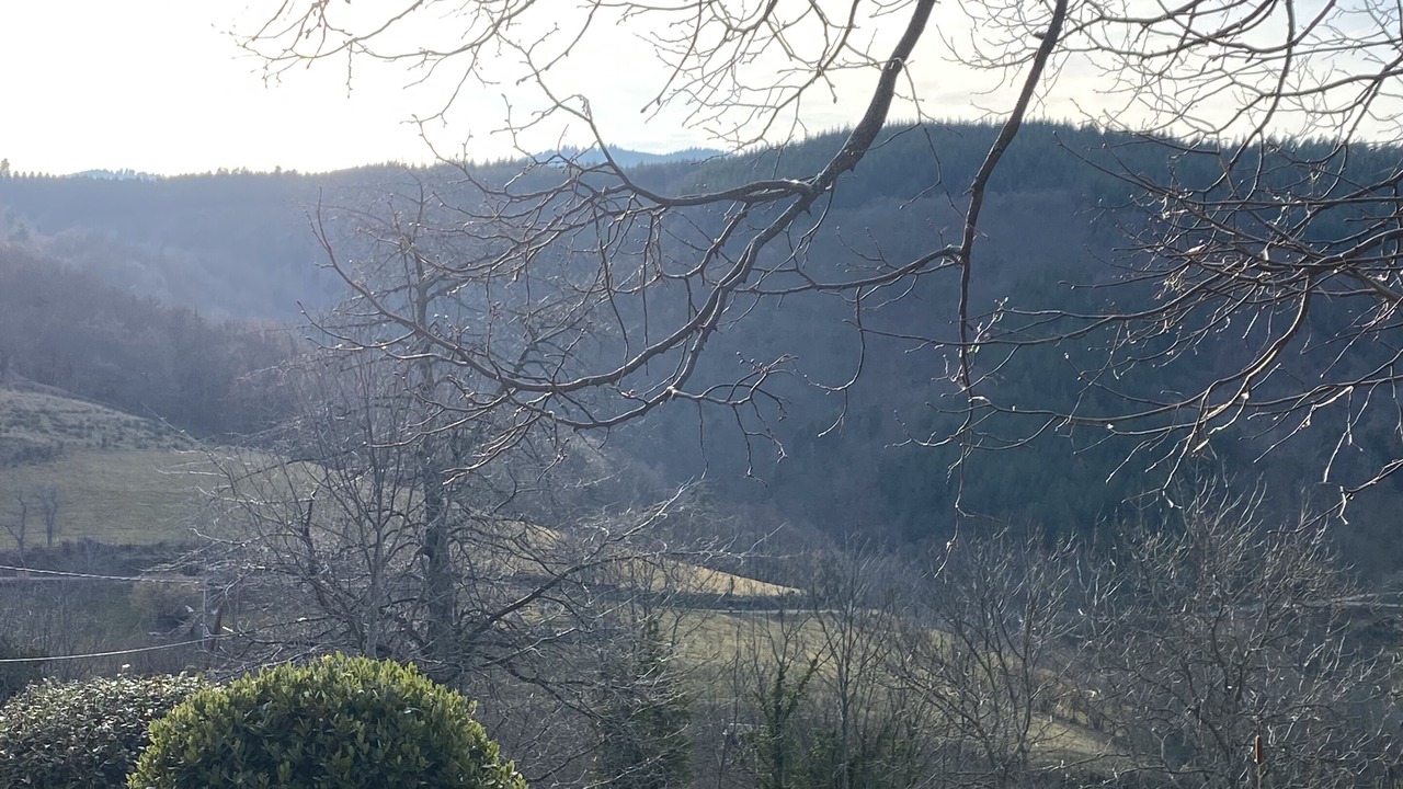 Photo of Outdoor in Saint-Felicien