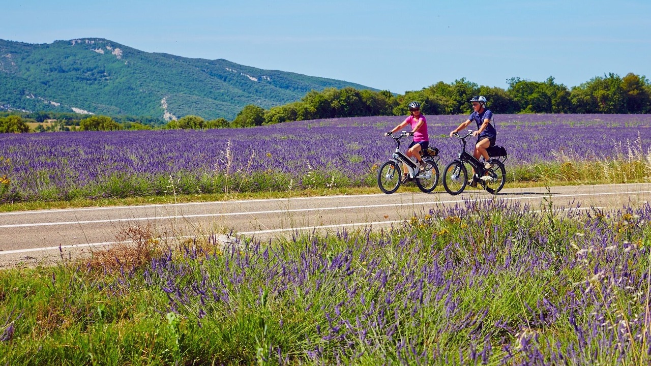 Photo of Outdoor in Pernes-les-Fontaines