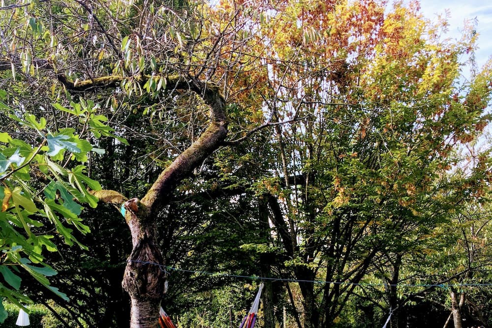 Photo of Outdoor in Cempuis