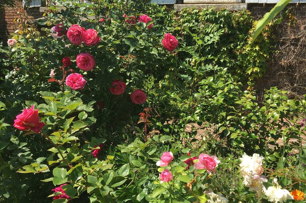 Photo of Outdoor in Cempuis