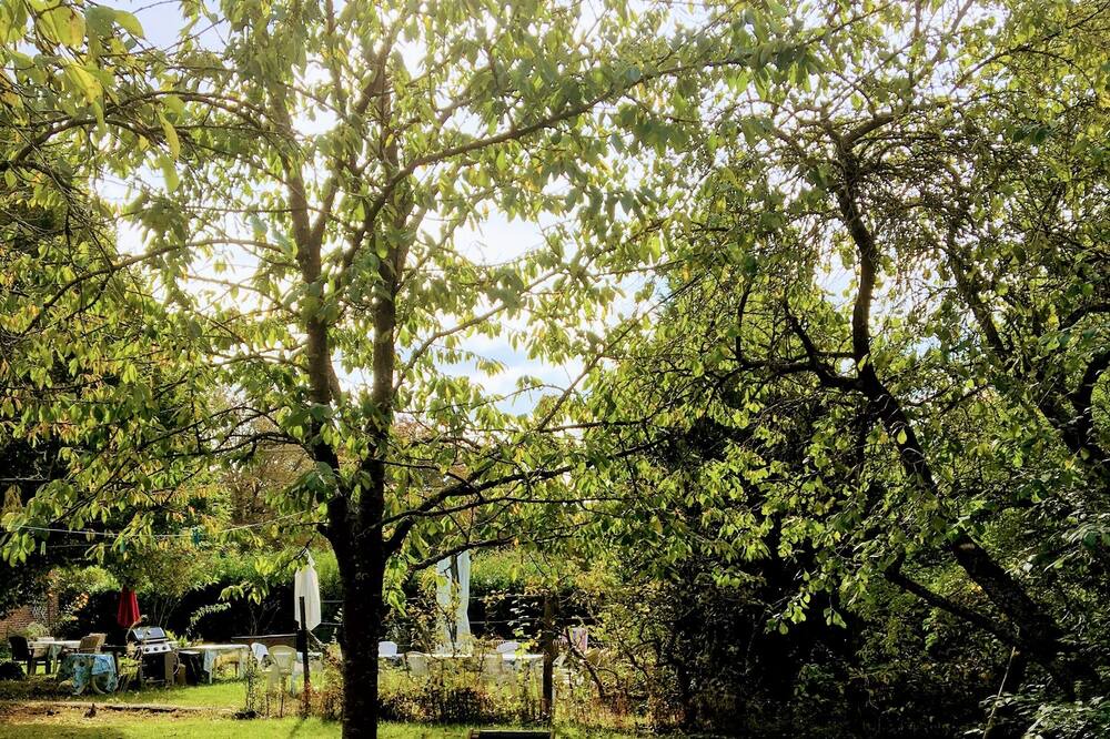 Photo of Outdoor in Cempuis