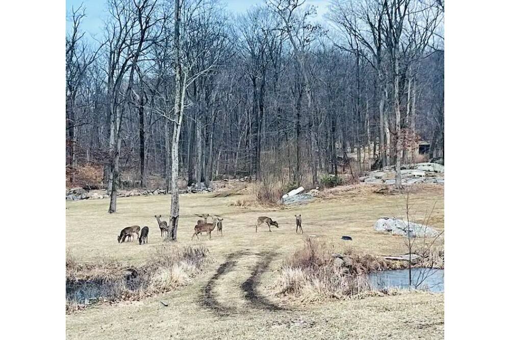 Photo of Outdoor in West Milford