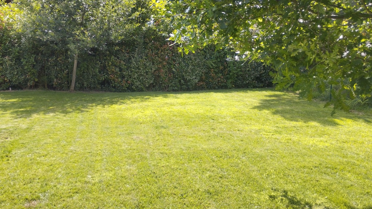 Photo of Outdoor in Parentis-en-Born