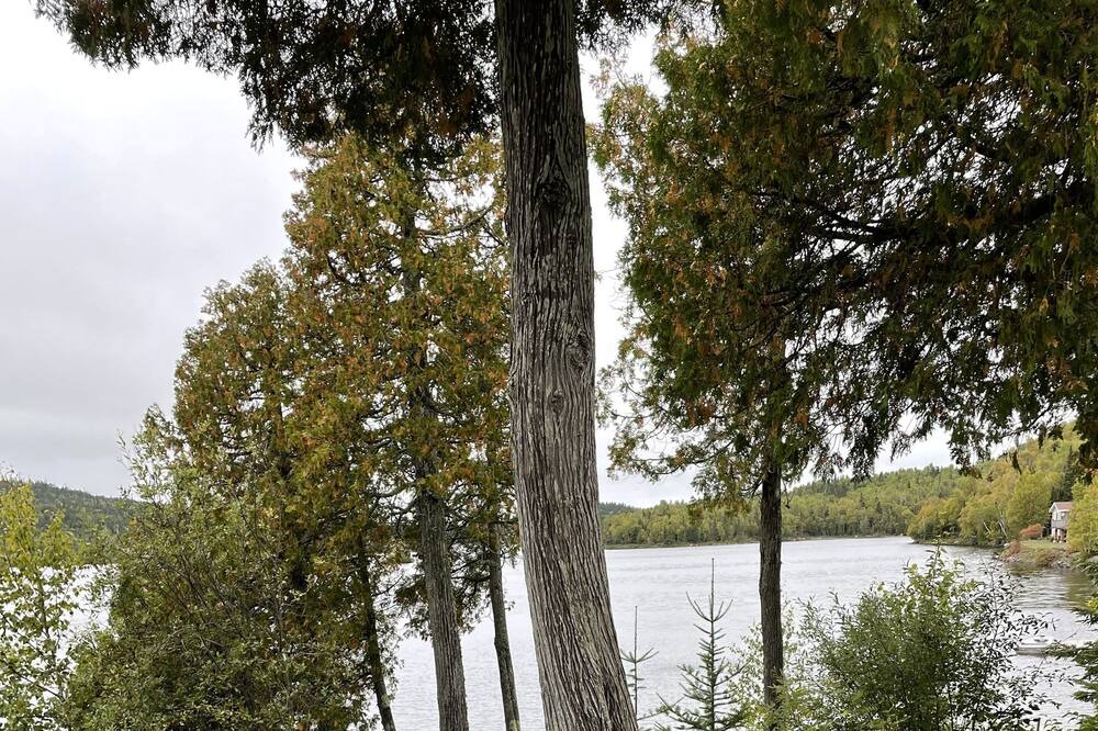 Photo of Outdoor in Schreiber