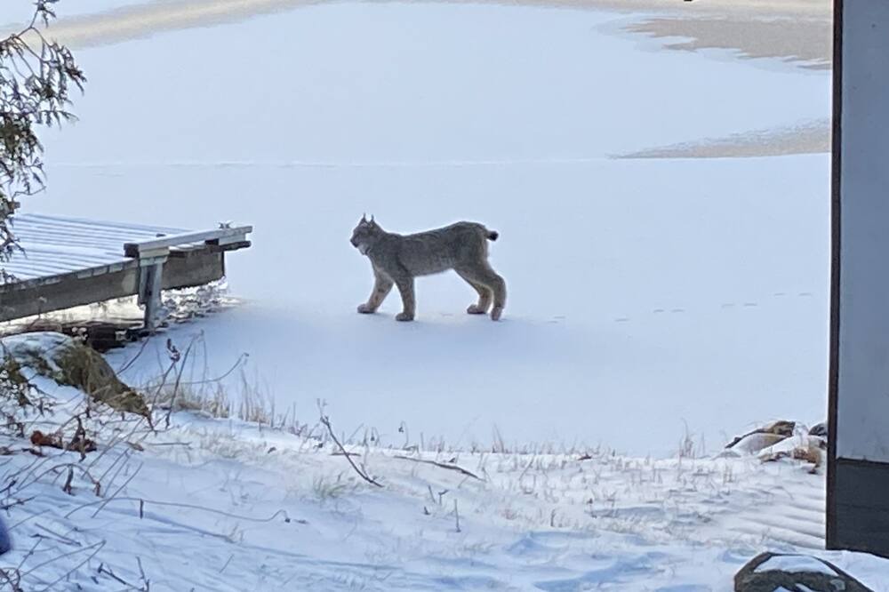 Photo of Outdoor in Schreiber