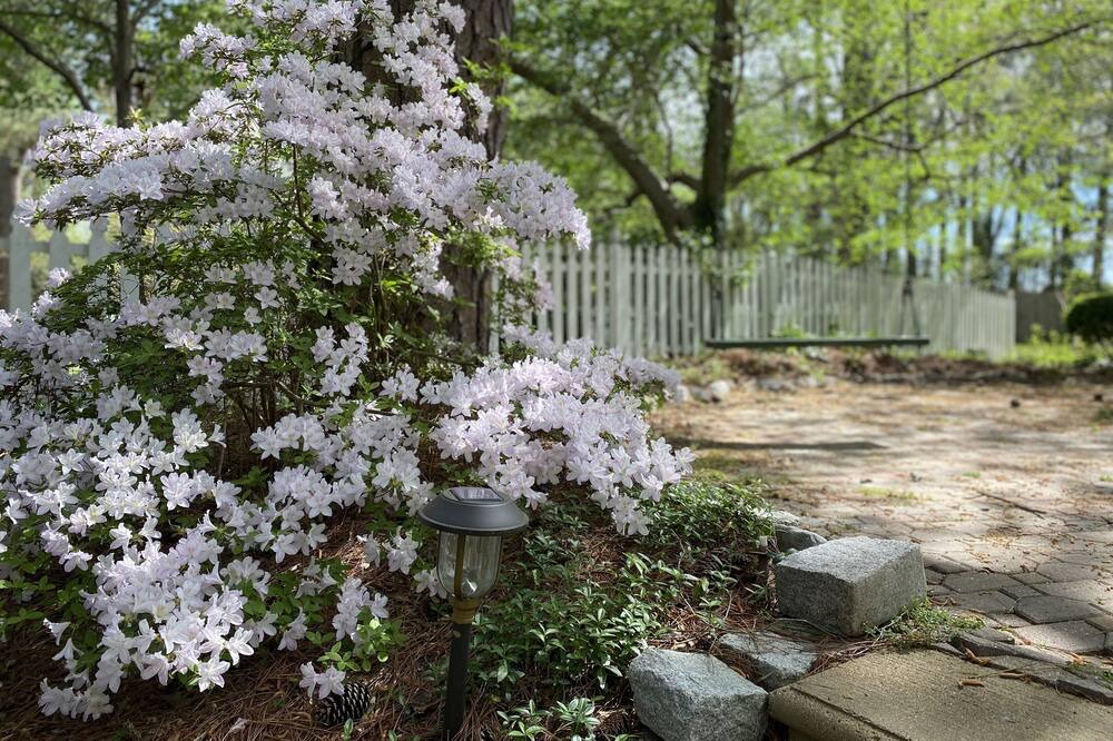 Photo of Outdoor in Petersburg