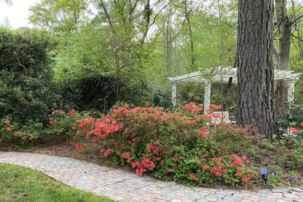 Photo of Outdoor in Petersburg