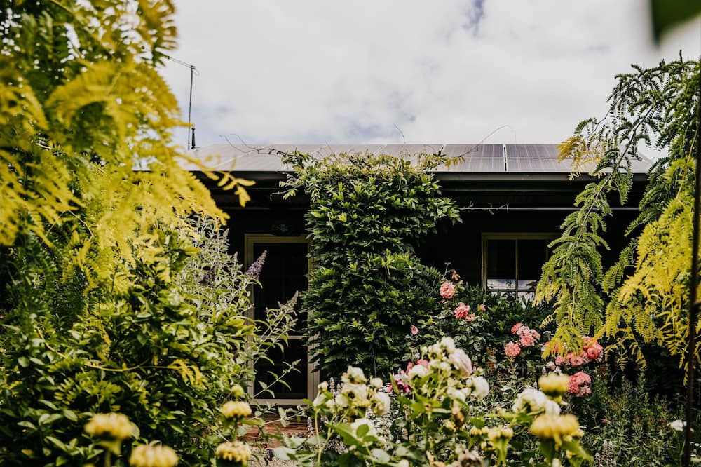 Photo of Others in Castlemaine