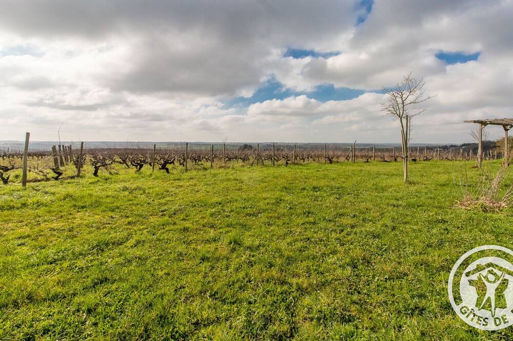 Photo of Outdoor in Val-du-Layon