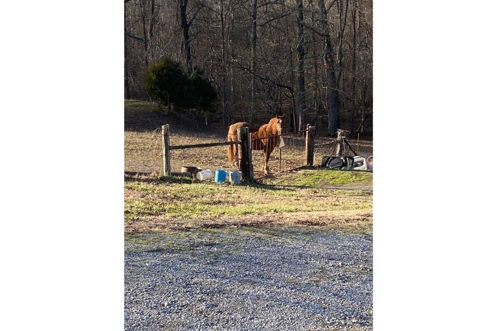 Photo of Others in Clarksville
