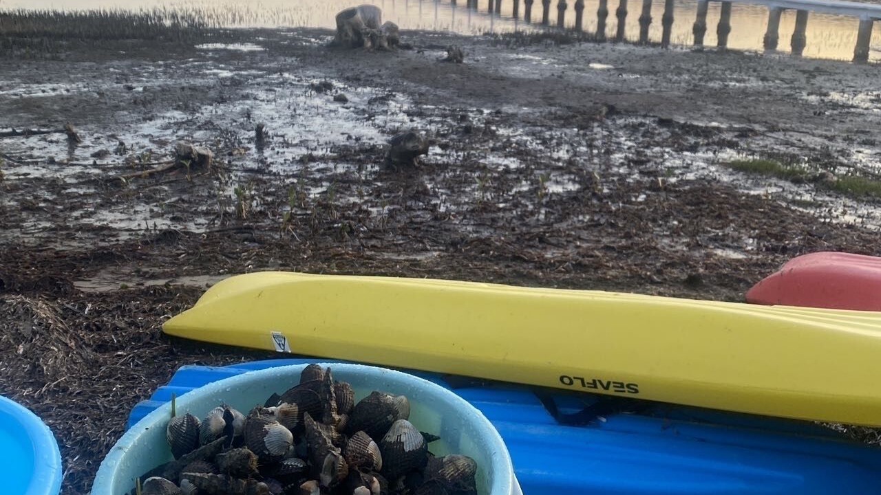 Photo of Outdoor in Tascott