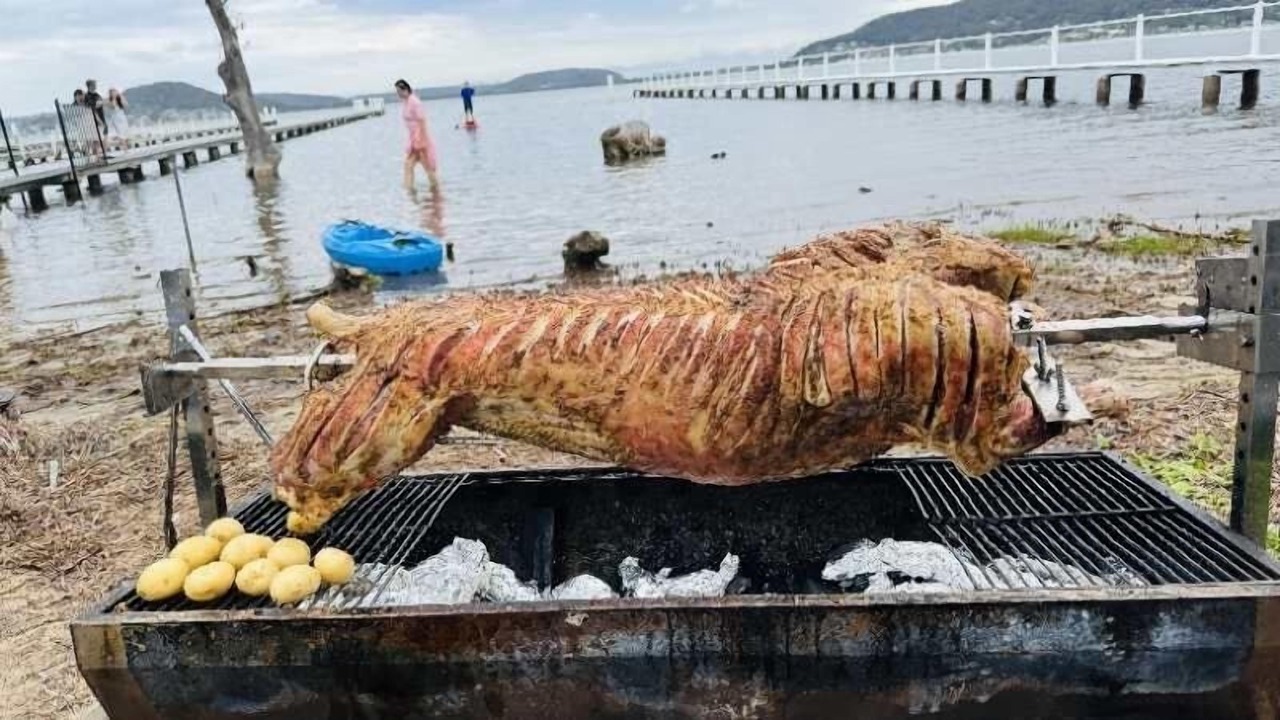 Photo of Outdoor in Tascott