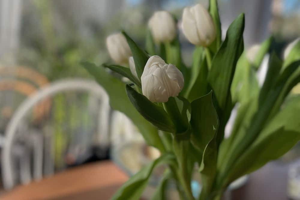 Photo of Others in Quend