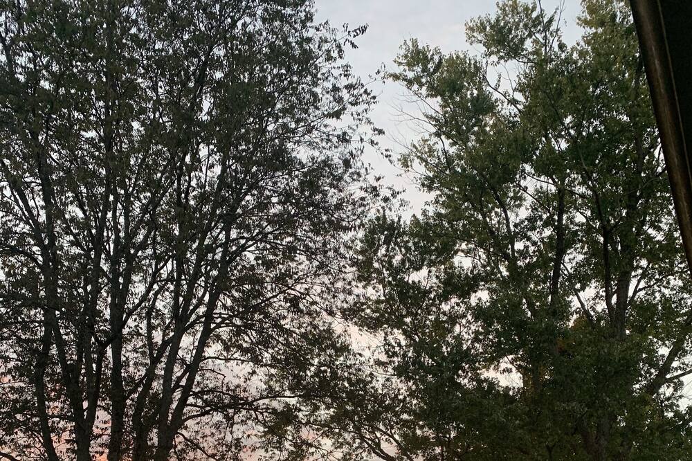 Photo of Others in Arrington