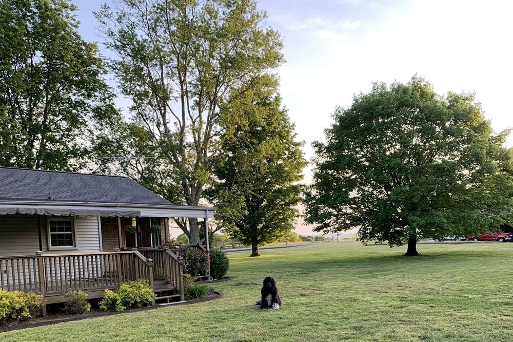 Photo of Others in Arrington
