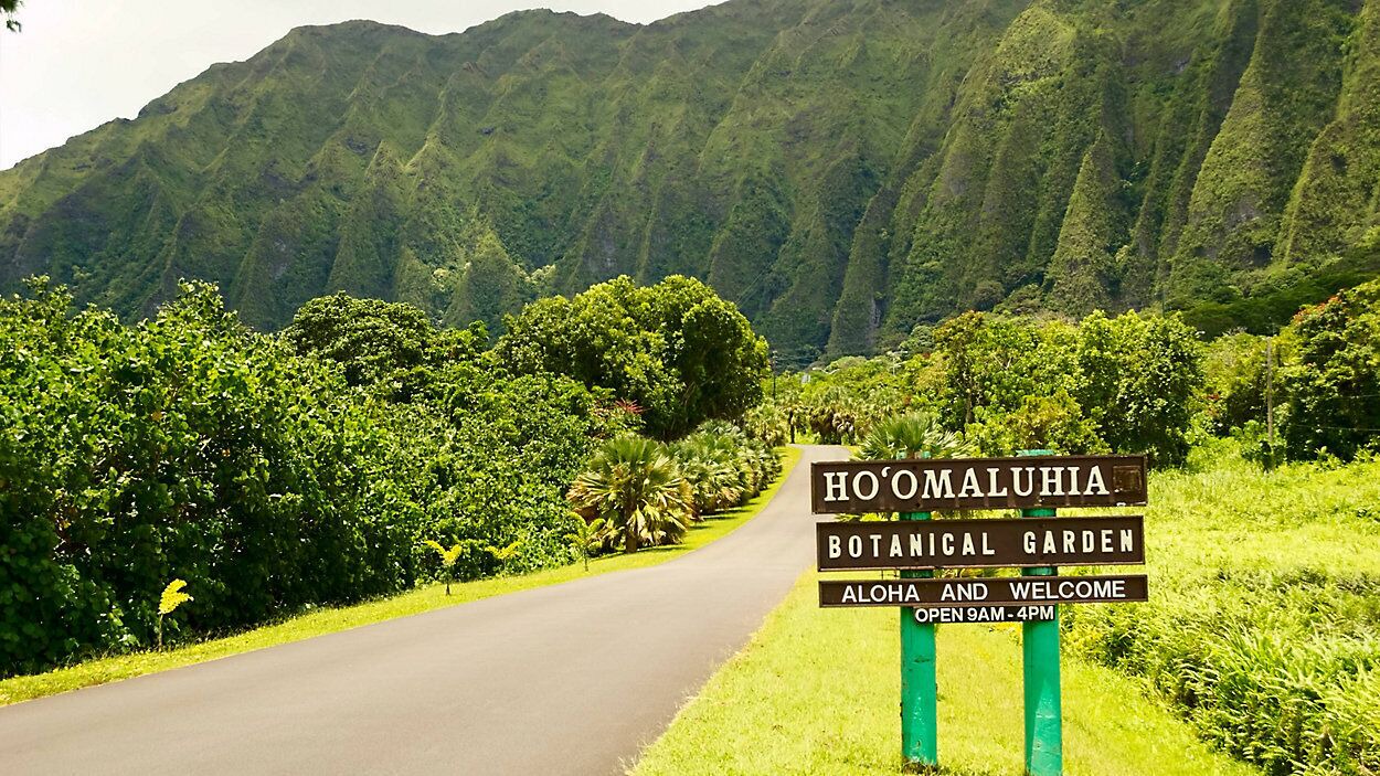 Photo of Others in Kaneohe