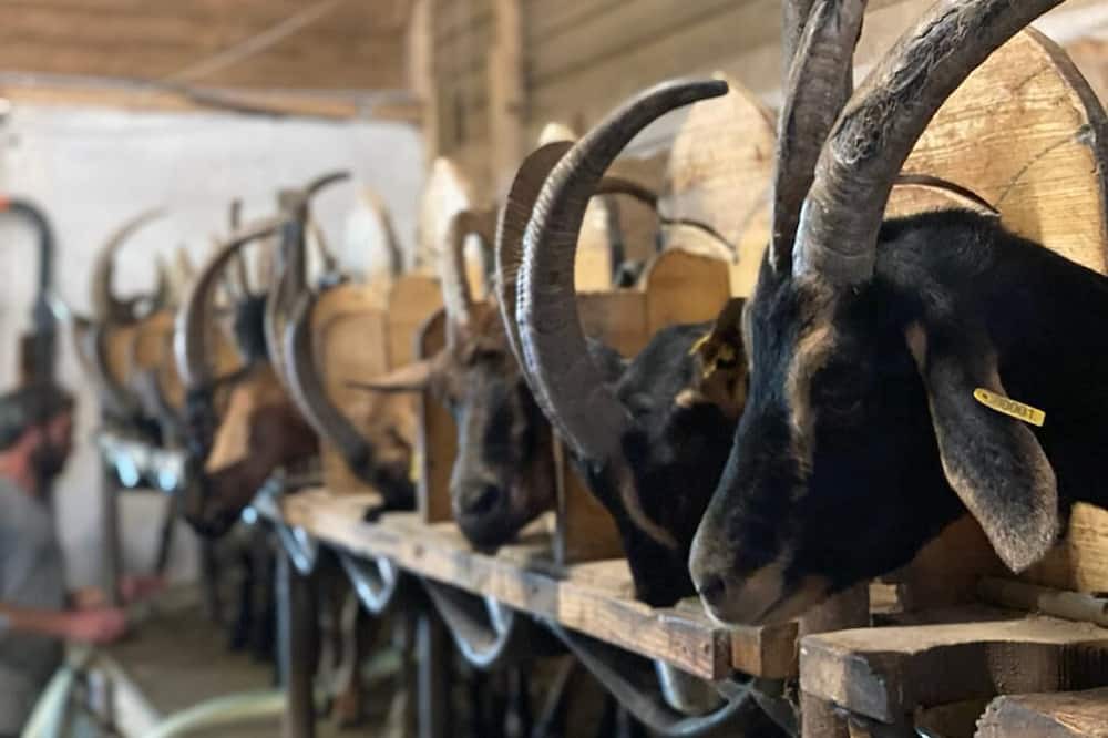 Photo of Outdoor in La Salette-Fallavaux