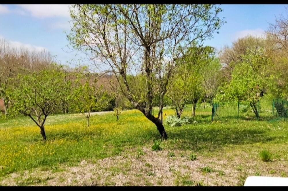 Photo of Outdoor in Lectoure