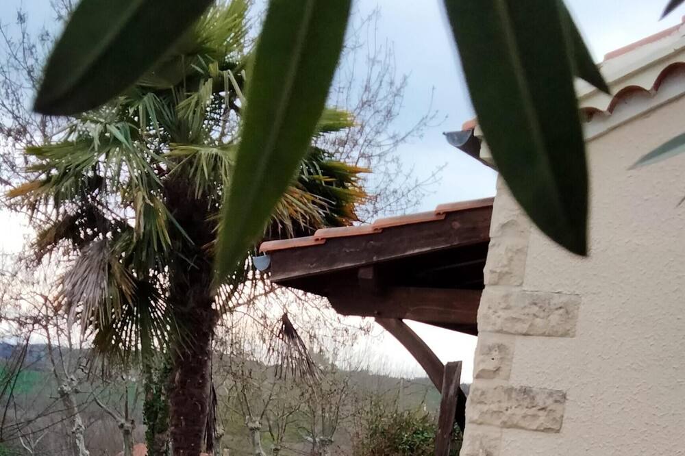 Photo of Outdoor in Lectoure