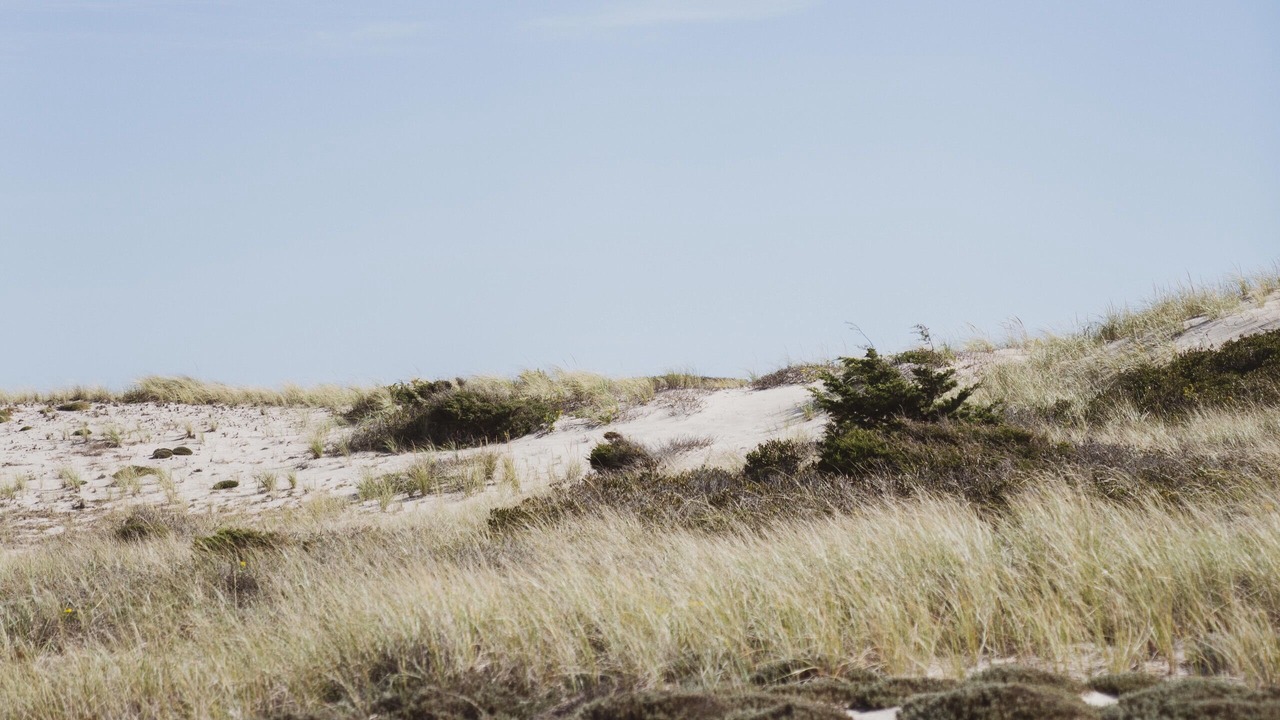 Photo of Outdoor in Amagansett North