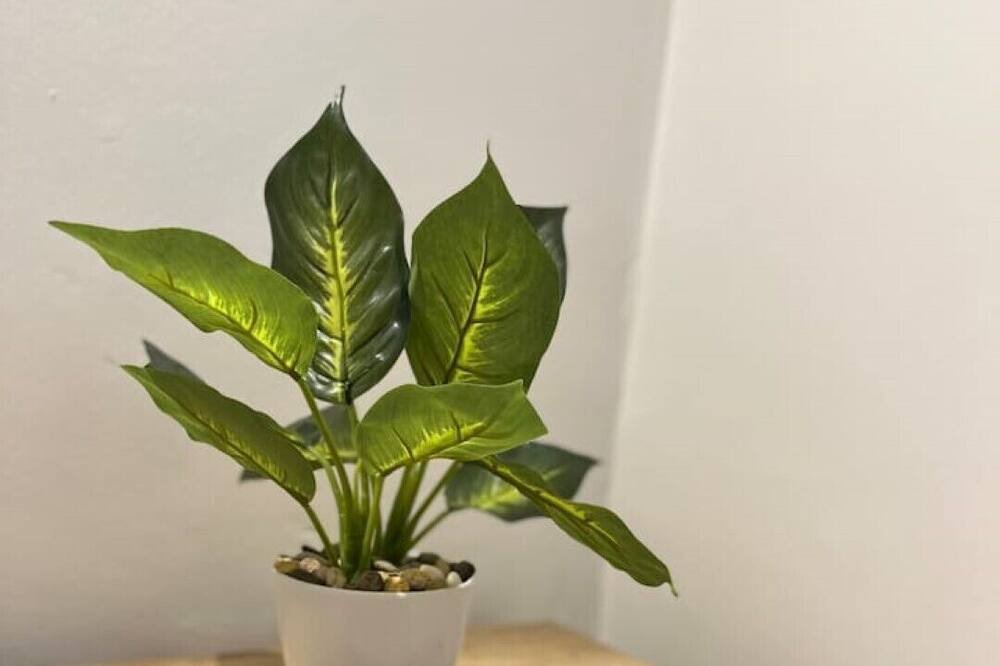 Photo of Others in Dartmouth Park