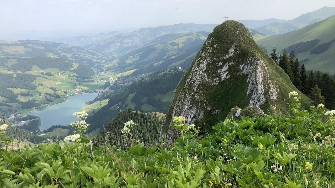 Photo of Others in Schwarzsee