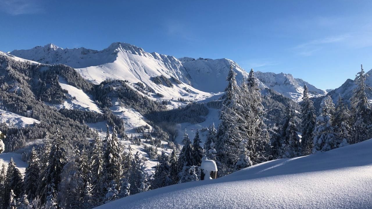 Photo of Others in Schwarzsee